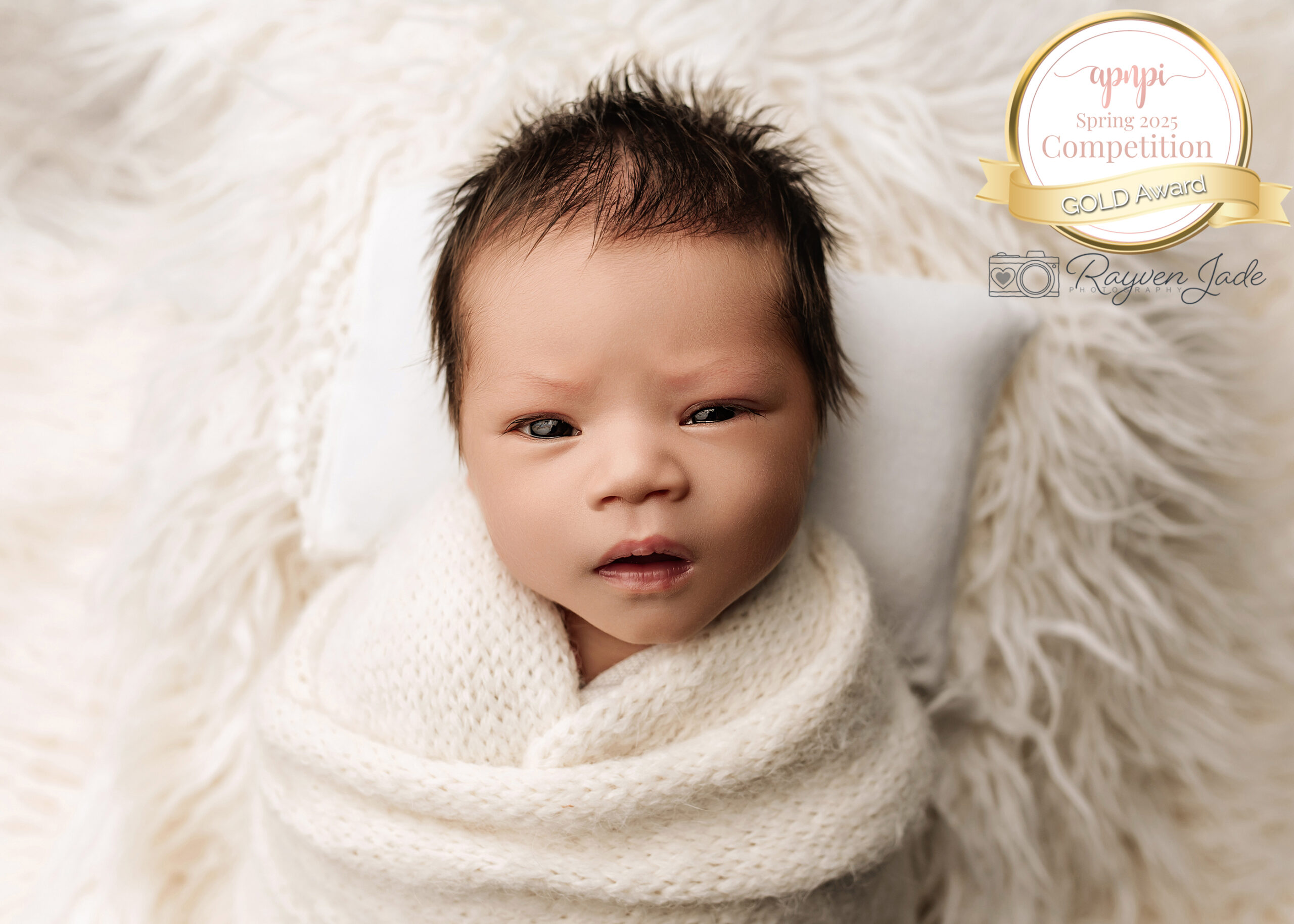 Awarding winning newborn photographer of a awake newborn, swaddled in white, in Prince GEorge, BC.