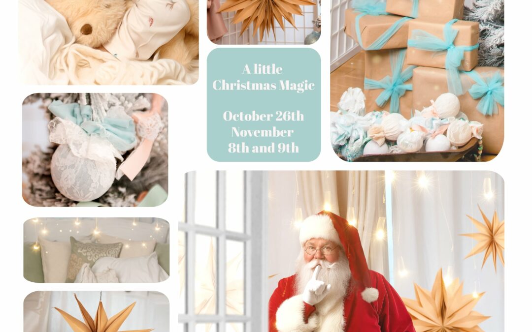 Christmas Mini Sessions